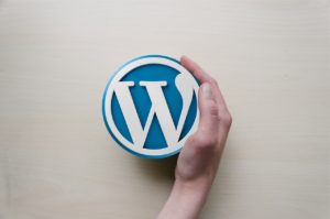 wordpress-insurance